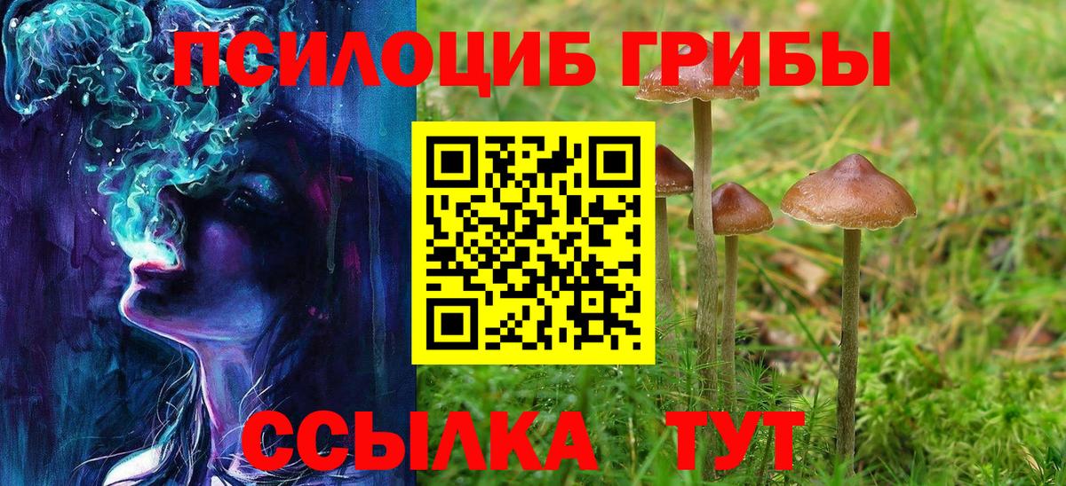 Вологда  Псилоцибиновые грибы прущие грибы  Вход с VPN  Псилоцибиновые грибы ЛСД 